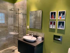 斯泰伦博斯Frida’s Place - Quiet in Stellenbosch Central的绿色浴室设有水槽和淋浴