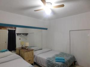 莱昂Casona Luciérnaga-Casa de Huéspedes的一间卧室配有两张床和吊扇