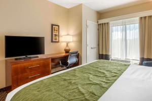 佛罗伦萨Comfort Inn & Suites的配有一张床和一台平面电视的酒店客房