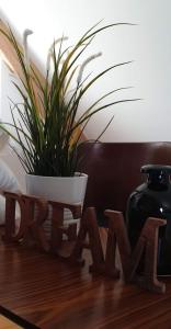 塞尔奈Théière & Couverts - Les Chambres的木桌上方的盆栽植物