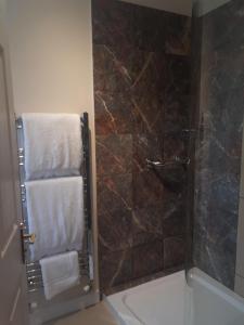 利特尔Berry House Bed & Breakfast的带淋浴和毛巾架的浴室