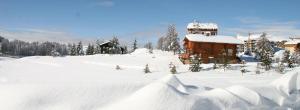吉洛梅戈格斯拉基斯度假原住酒店的一座有雪盖的院子,后面有一座房子