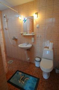 派尔努恩尼别墅酒店的一间带卫生间和水槽的浴室