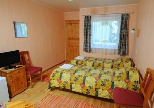 派尔努恩尼别墅酒店的一间卧室设有一张床、一个窗口和一台电视