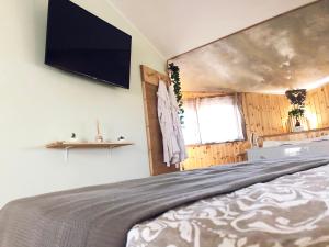 安圭拉萨巴齐亚REnt Room Wood的卧室配有一张壁挂式平面电视的床。