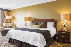 休斯顿休斯顿全方位酒店的一间卧室配有一张带两盏灯和一把椅子的床。