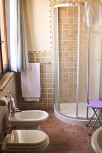 卢戈La Locanda dei Gagliardi的带淋浴、卫生间和盥洗盆的浴室