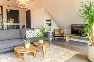 登堡Just Texel Suites & Apartments的客厅配有沙发、桌子和盆栽植物