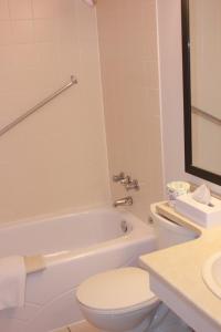 艾伯特亲王城Coronet Hotel的浴室配有卫生间、浴缸和水槽。
