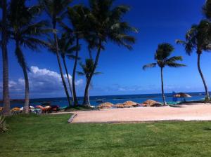 普拉亚弗朗西丝Apto Cumaru 150m Do Mar Com Piscina的棕榈树和遮阳伞的海滩和海洋