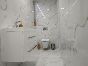 OslanySlnečný apartmánový dom Oslany的白色的浴室设有卫生间和淋浴。
