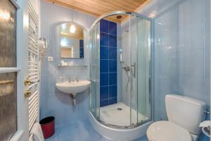 奥斯特拉维采金鹰酒店的带淋浴、卫生间和盥洗盆的浴室