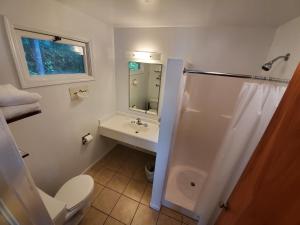 库珀斯敦Lake View Motel的浴室配有卫生间、盥洗盆和淋浴。