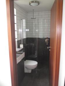 霍芬阿图恩公寓的浴室配有卫生间、盥洗盆和淋浴。