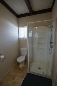 派罗阿Casa Mexicana的一间带卫生间和玻璃淋浴间的浴室