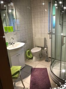 RadiborFerienhaus Zur Heide - Erdgeschoss的浴室配有卫生间、盥洗盆和淋浴。