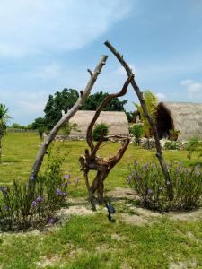RindiEcoresort Sumba Dream的花田中的树枝雕塑