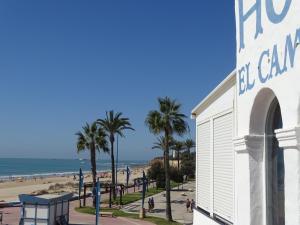 奇克拉纳－德拉弗龙特拉坎帕纳里奥酒店的一座毗邻棕榈树海滩和大海的建筑