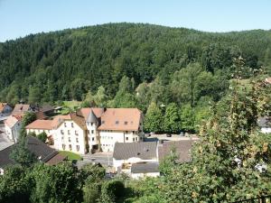 梅斯佩尔布伦祖姆恩格尔酒店的山中小镇的空中景观