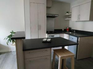 欧里亚克appartement avec terrasse的厨房配有白色橱柜和黑色台面