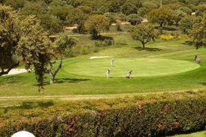 San Pedro del ValleEstudio con Wifi y vistas al Campo de Golf de Salamanca的一群人在高尔夫球场打高尔夫