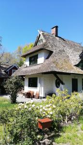 阿伦斯霍普Darßer Strandgut - Haus Butzek的茅草屋顶的古老房屋