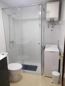 阿格特La Palmita House Flat的一间带卫生间和玻璃淋浴间的浴室