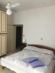 里米尼LA CASA DI CLARA ombrellone con 2 lettini al Lido San Giuliano gratis e parcheggio privato gratis的一间卧室配有一张带紫色枕头的大床