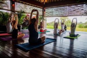 坎古Bali Harmony Retreat的相册照片