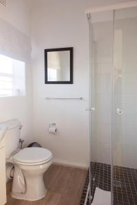 斯泰伦博斯BlackHorse Accommodation的一间带卫生间和玻璃淋浴间的浴室