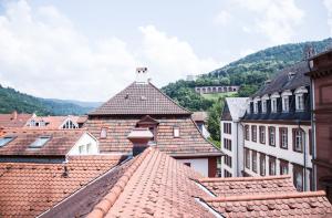 海德堡市政厅酒店的享有背景群山建筑屋顶的景色