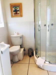 斯泰伦博斯BlackHorse Accommodation的一间带卫生间和淋浴的浴室