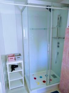 丰特奈勒孔特Châtellenie d Ardennes的浴室里设有玻璃门淋浴