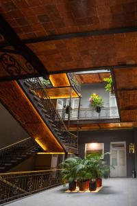 墨西哥城普林西帕尔酒店的一座种植盆栽植物的建筑中的楼梯