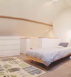 鲁昂Carré Saint-Gervais Rouen centre的一间卧室配有一张床和地毯