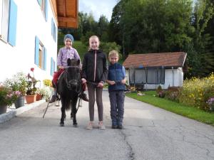韦尔塔赫Weißenbach´s Ferienhof的两个女孩和一个男孩站在马旁边