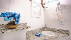伊塔乌纳斯珊瑚旅馆的一个带水槽和台面植物的浴室