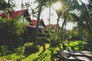 班邦宝苏梅岛内提夫斯别墅的棕榈树和建筑度假村