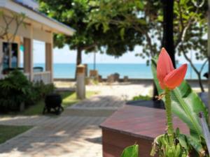 高兰Andaman Lanta Resort - SHA Extra Plus的海滩房子前面的红花