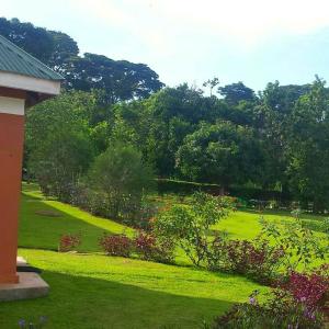 KalangalaPhilo Leisure Gardens的绿意盎然的庭院,林木丛和房子