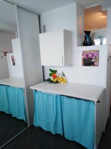 鲁西隆地区卡内Stan的厨房配有带蓝桌布的台面