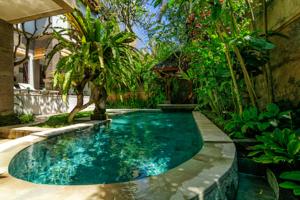 坎古Laki Uma Villa - Male Only的棕榈树花园中的游泳池