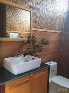永隆MEKONG NATURE LODGE的一间带水槽、卫生间和镜子的浴室