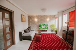 索非亚Dimitrovi Rooms的带沙发和红色地毯的客厅