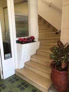 皮里亚波利斯Hotel Danae的窗户箱里装有粉红色花的楼梯