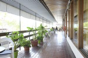 维纳德马Dptos Castelar的楼内带桌子和植物的走廊