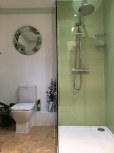 克雷迪顿East Hillerton House的带淋浴、卫生间和镜子的浴室