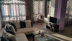 普罗夫迪夫Art House Plovdiv的带沙发和电视的客厅