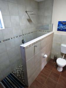 干斯拜Gansbaai Central Accommodation的带浴缸和卫生间的浴室。