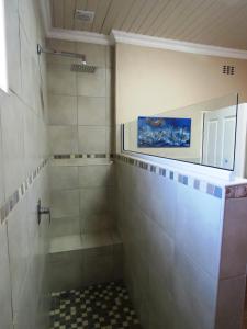 干斯拜Gansbaai Central Accommodation的带淋浴的浴室和玻璃门